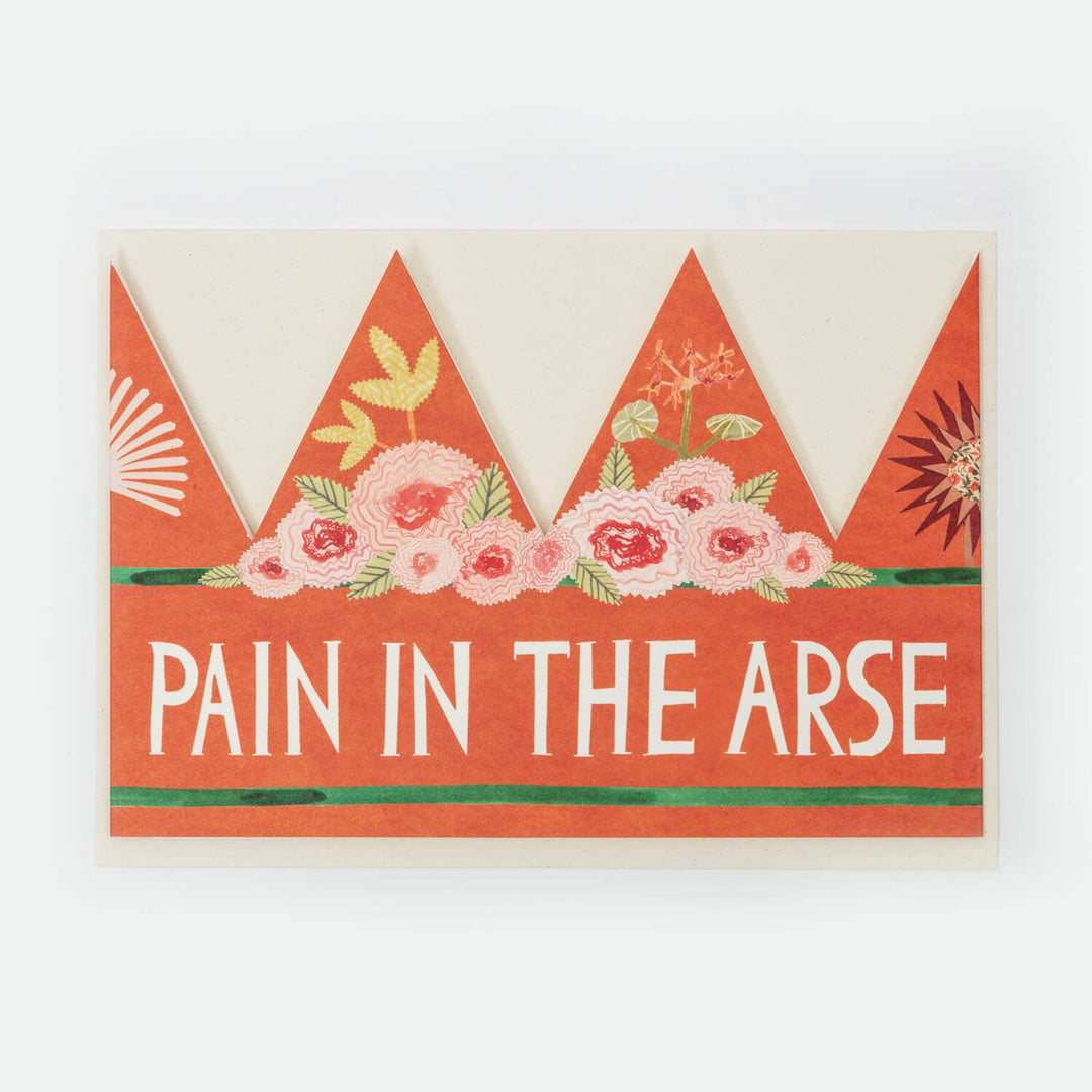 Pain In The Arse Party Hat