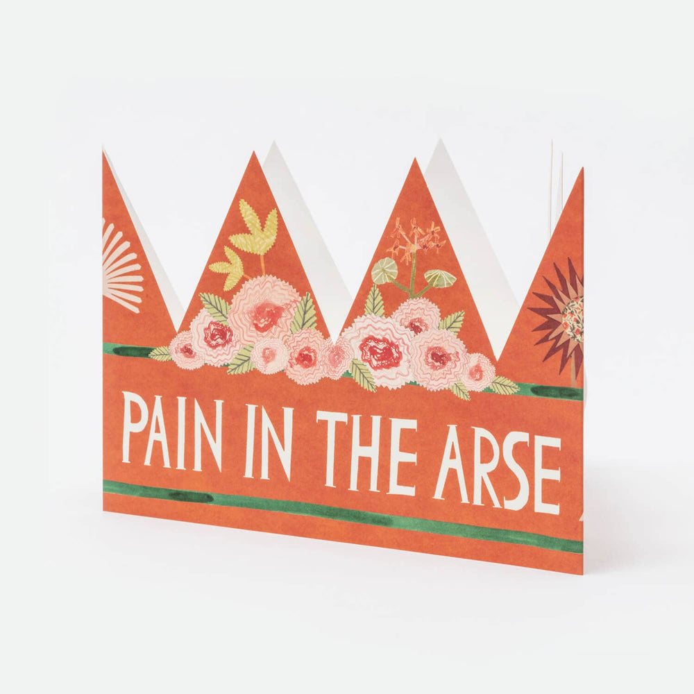 Pain In The Arse Party Hat - Black & Beech