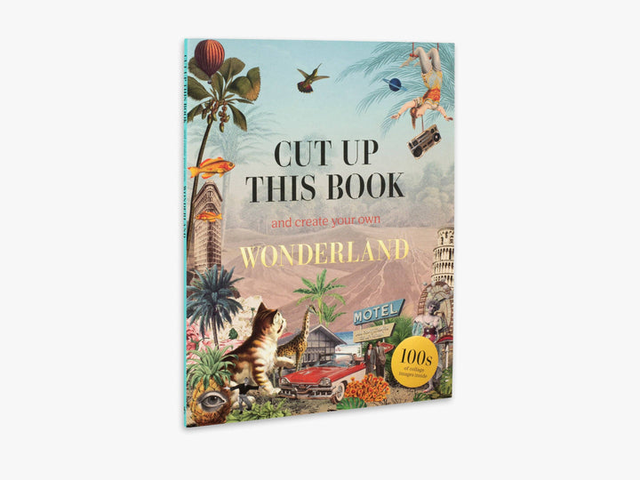 Cut Up This Book and Create Your Own Wonderland (Cut up this Book)
