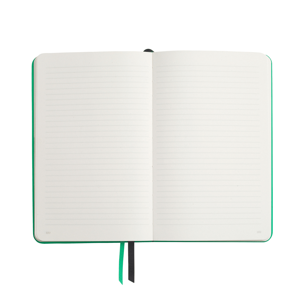 Everyday Lined Notebook: Green