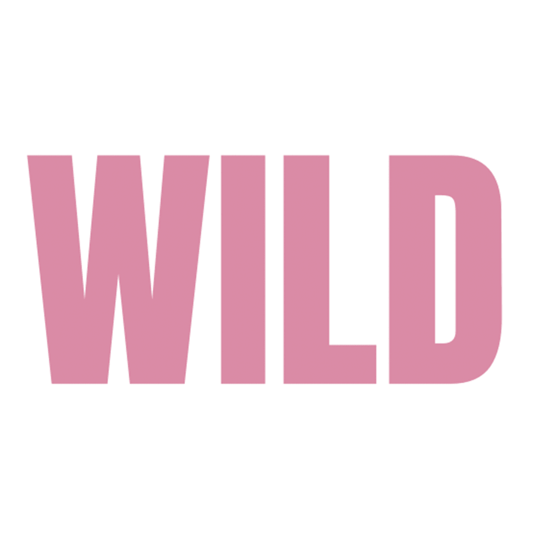 Wild Embroidered T-shirt - PREORDER - Black &amp; BeechNavy with Orange Thread