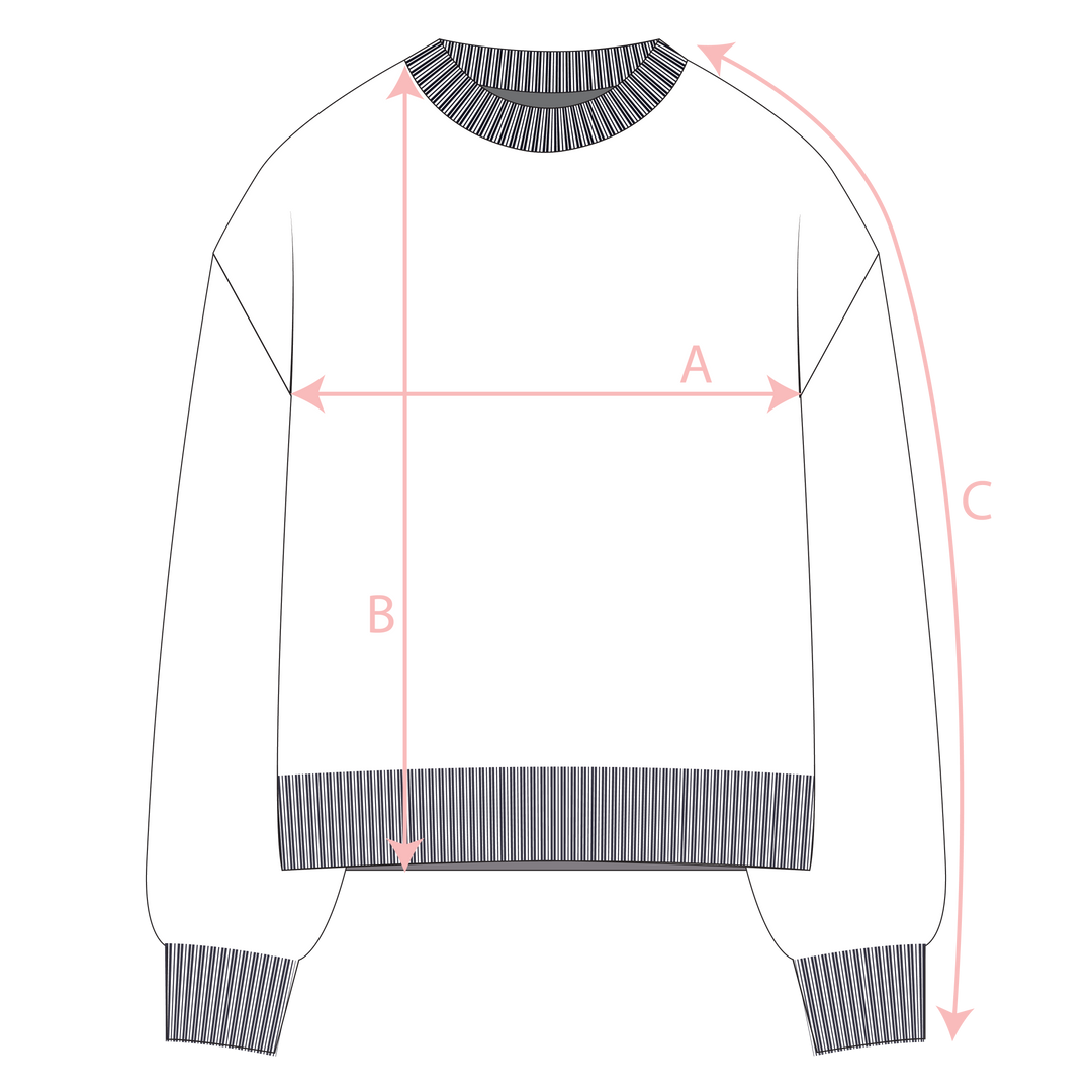 Cosmos Jumper in Asteria