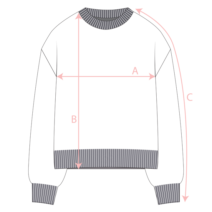 Cosmos Jumper in Asteria
