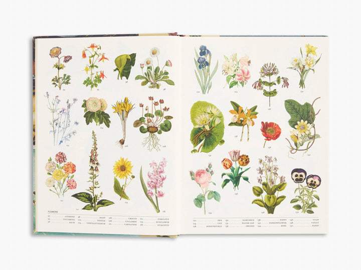 The Secret Language of Plants