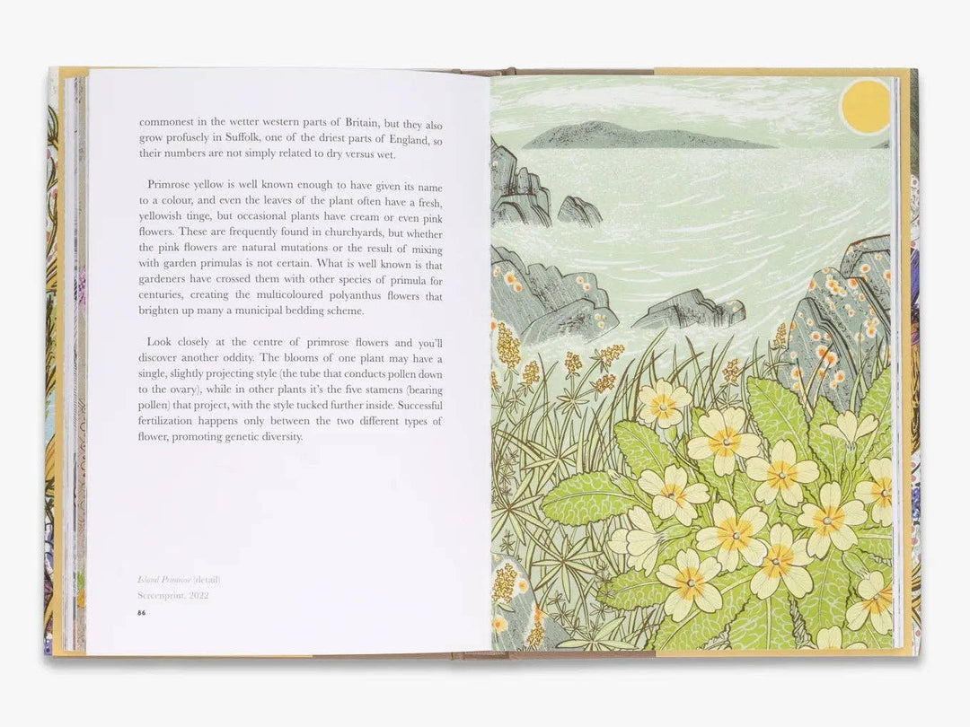 The Book of Wild Flowers