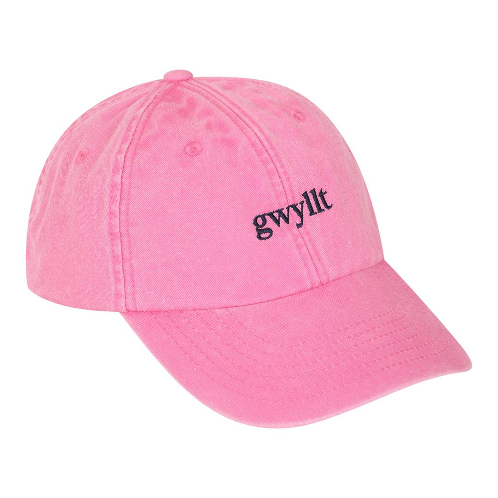 Gwyllt Baseball Cap - Black & BeechLight Blue
