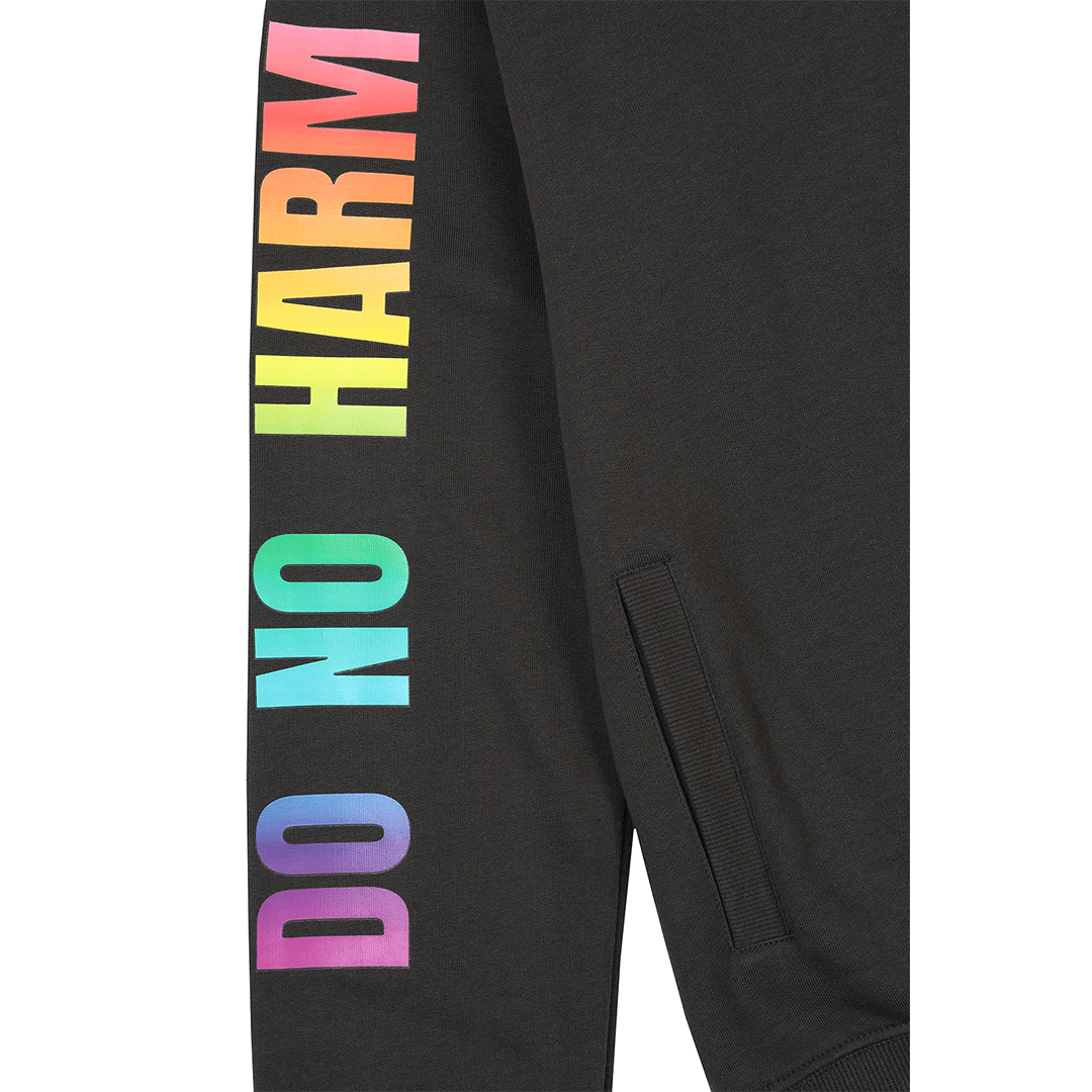 Do No Harm Take No Shit Hoodie in Ash Black Sweatshirt Black & Beech