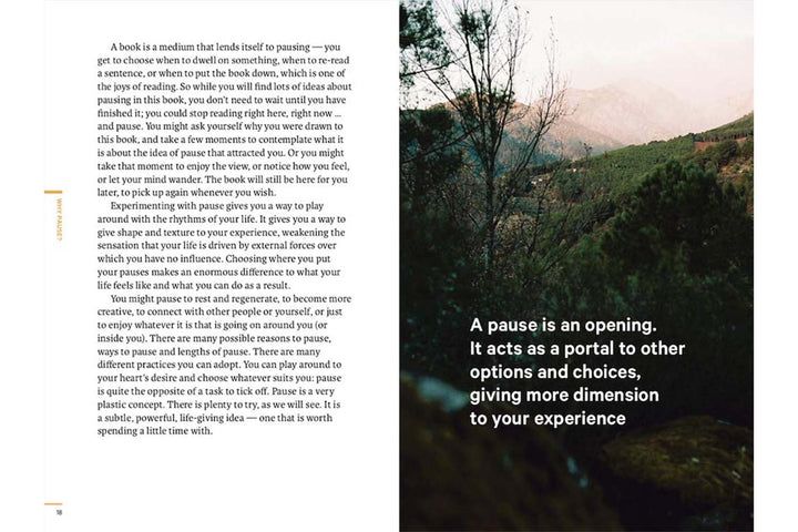 Do Pause: You are not a To Do list by Robert Poynton Books Black & Beech