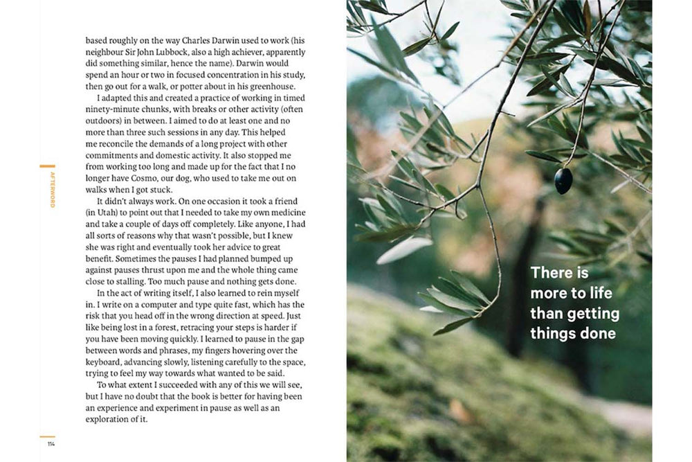 Do Pause: You are not a To Do list by Robert Poynton Books Black & Beech