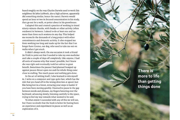 Do Pause: You are not a To Do list by Robert Poynton Books Black & Beech